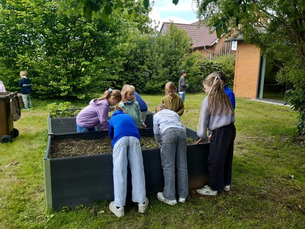 natur.jpg